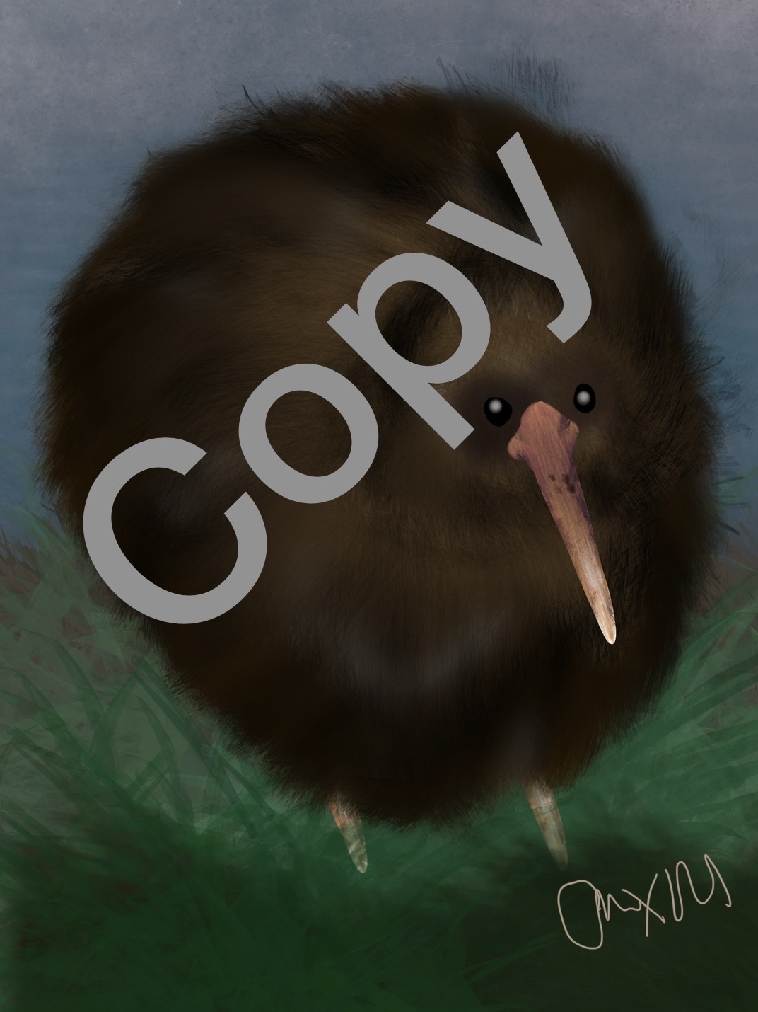 Chang the Kiwi